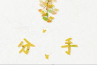 如何看待无缝衔接的恋爱
