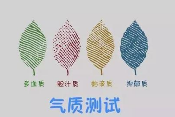 气质类型测试分为四种类型
